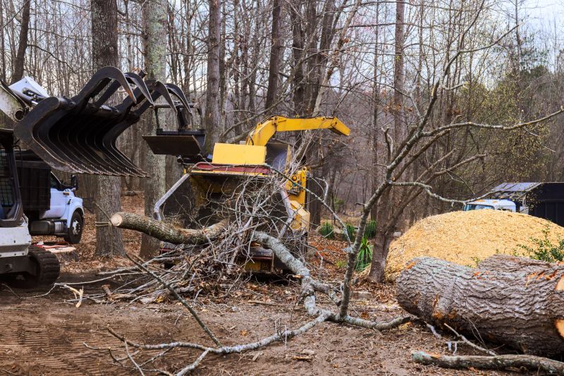 Dead Tree Removal in Doylestown, PA