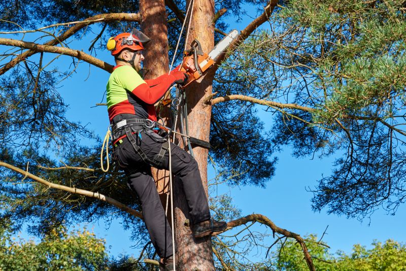 Hard-to-Reach Tree Trimming